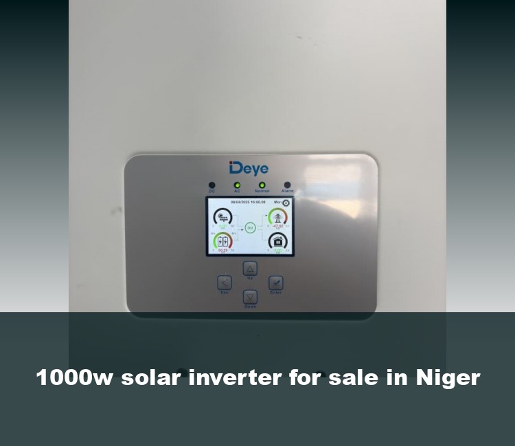 1000w solar inverter for sale in Niger