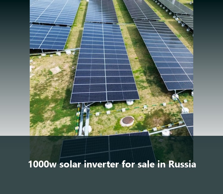 1000w solar inverter for sale in Russia