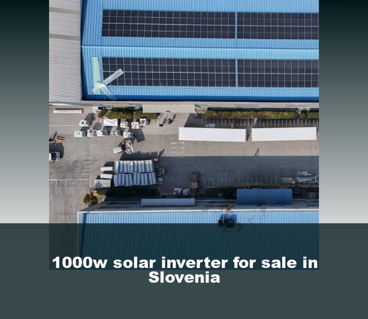 1000w solar inverter for sale in Slovenia