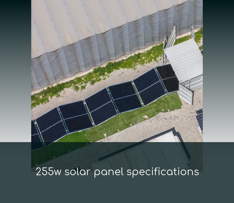 255w solar panel specifications