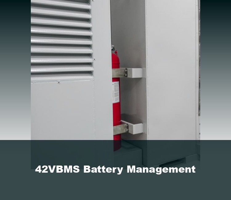 42VBMS Battery Management