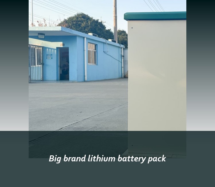 Big brand lithium battery pack
