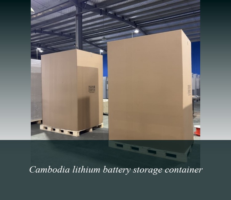 Cambodia lithium battery storage container