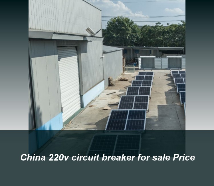 China 220v circuit breaker for sale Price
