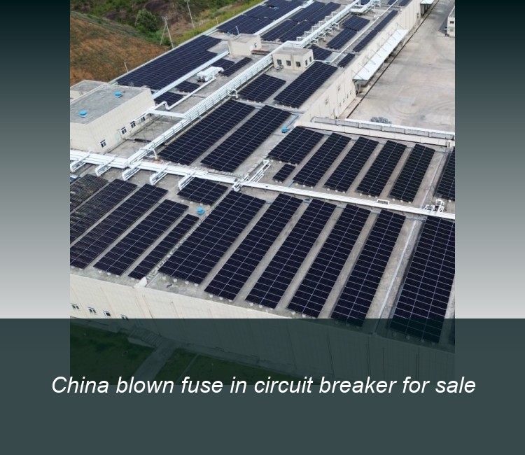 China blown fuse in circuit breaker for sale
