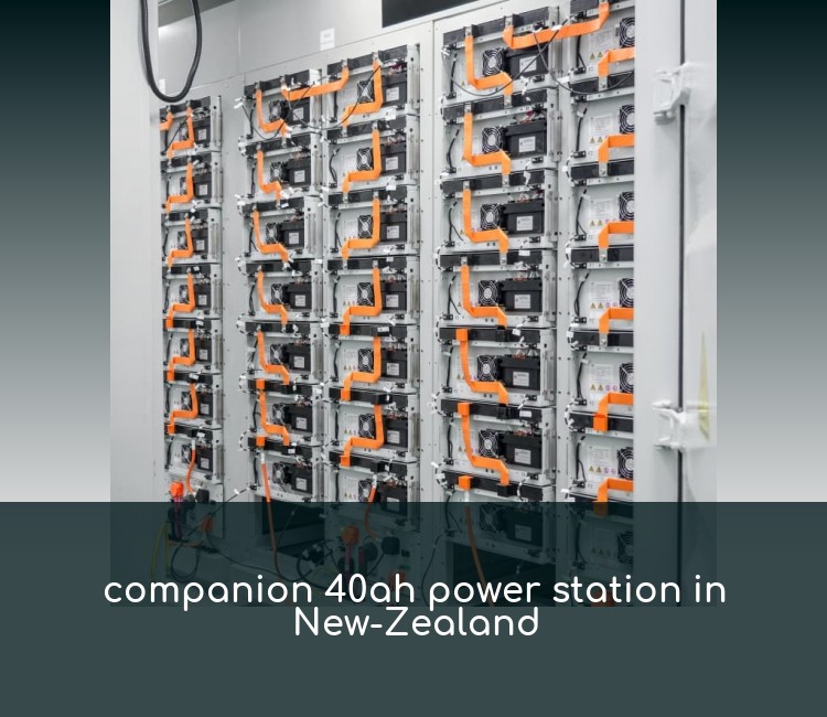 companion 40ah power station in New-Zealand