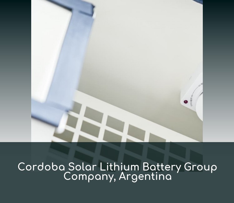 Cordoba Solar Lithium Battery Group Company, Argentina