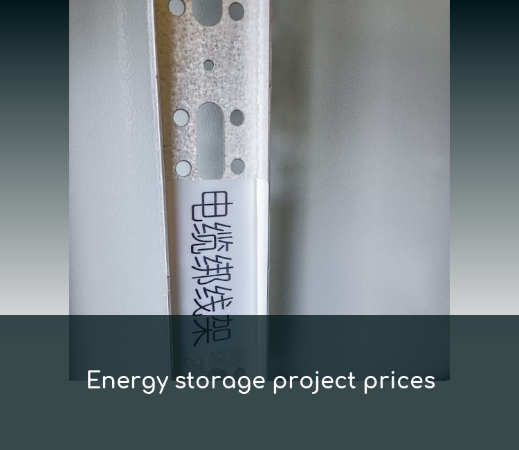 Energy storage project prices