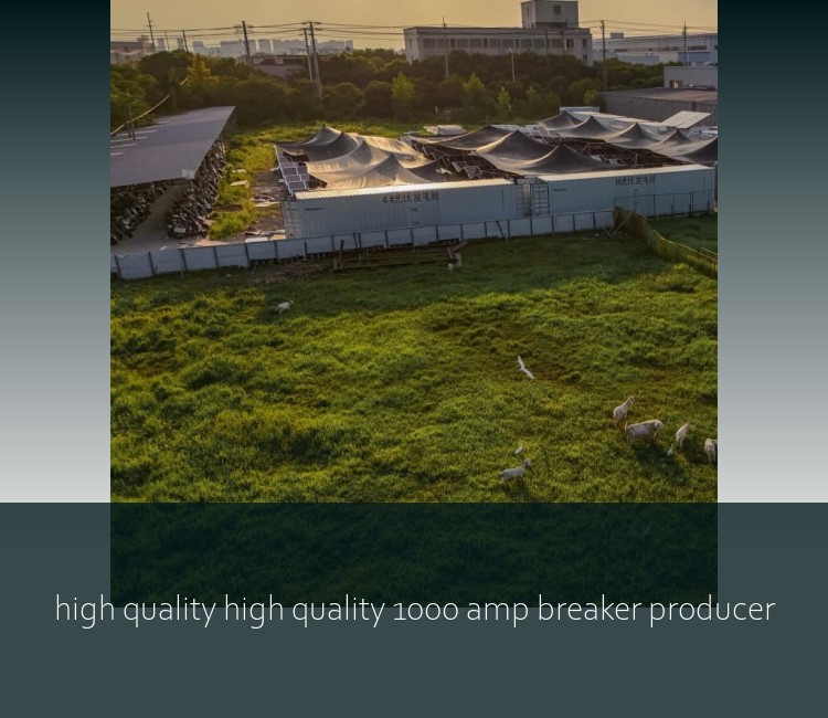 high quality high quality 1000 amp breaker producer