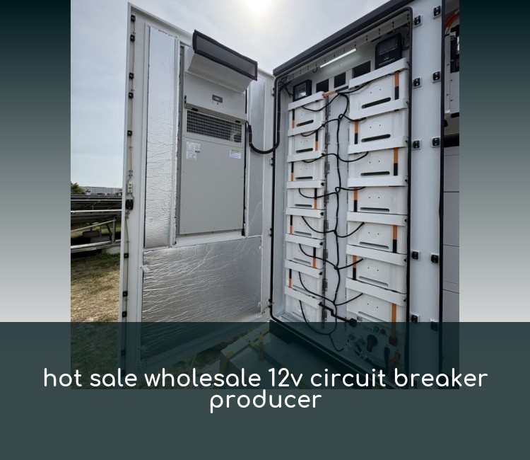 hot sale wholesale 12v circuit breaker producer