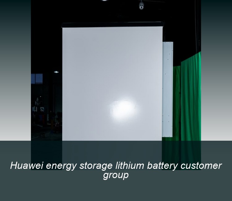 Huawei energy storage lithium battery customer group