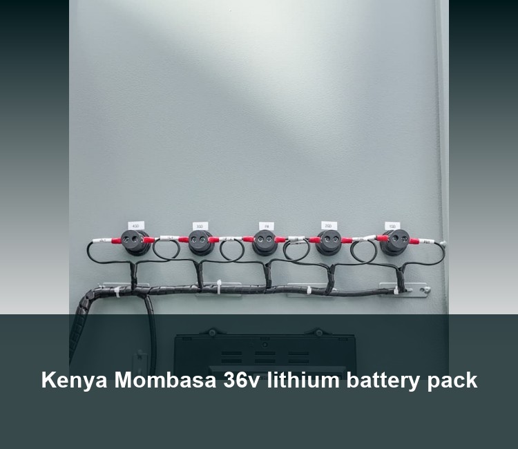 Kenya Mombasa 36v lithium battery pack