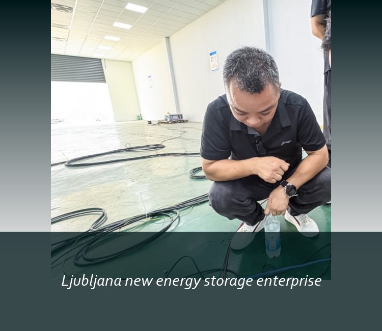 Ljubljana new energy storage enterprise