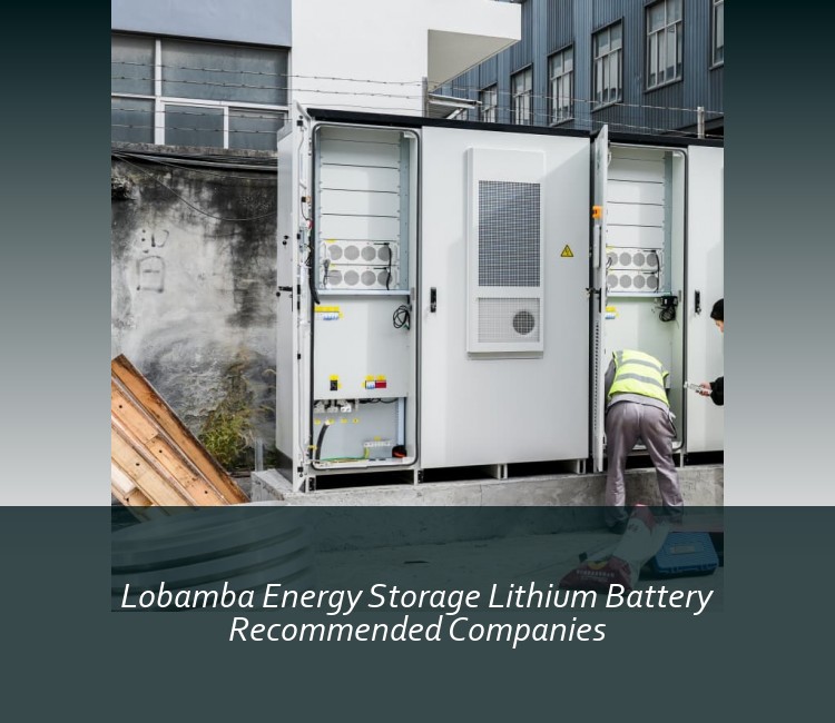 Lobamba Energy Storage Lithium Battery Recommended Companies
