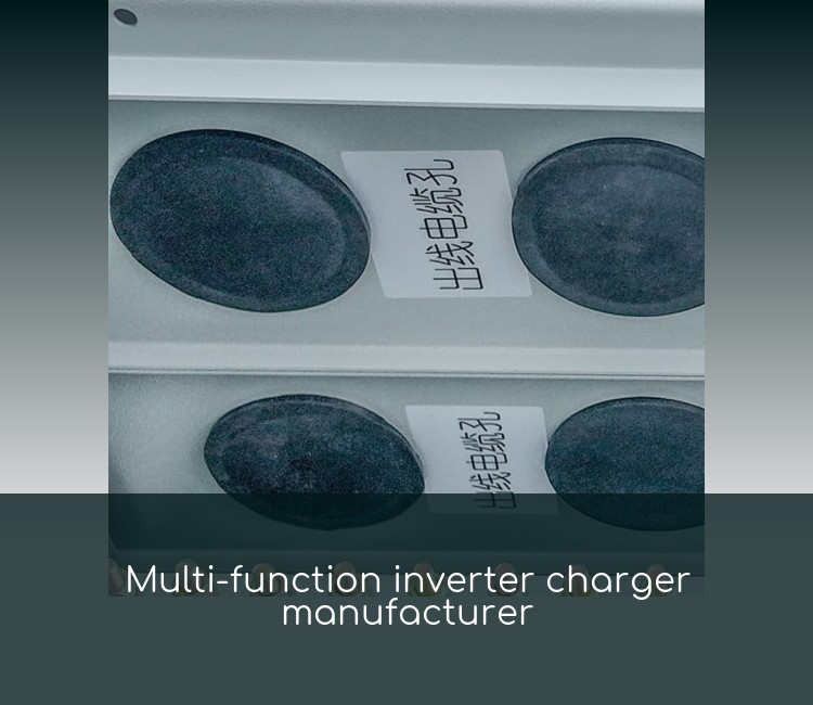 Multi-function inverter charger manufacturer