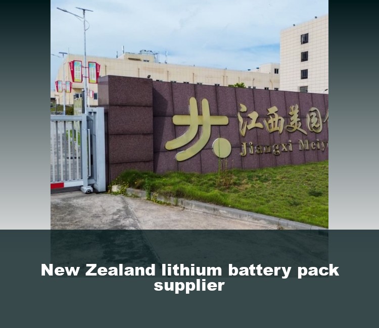 New Zealand lithium battery pack supplier