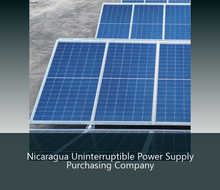 Nicaragua Uninterruptible Power Supply Purchasing Company