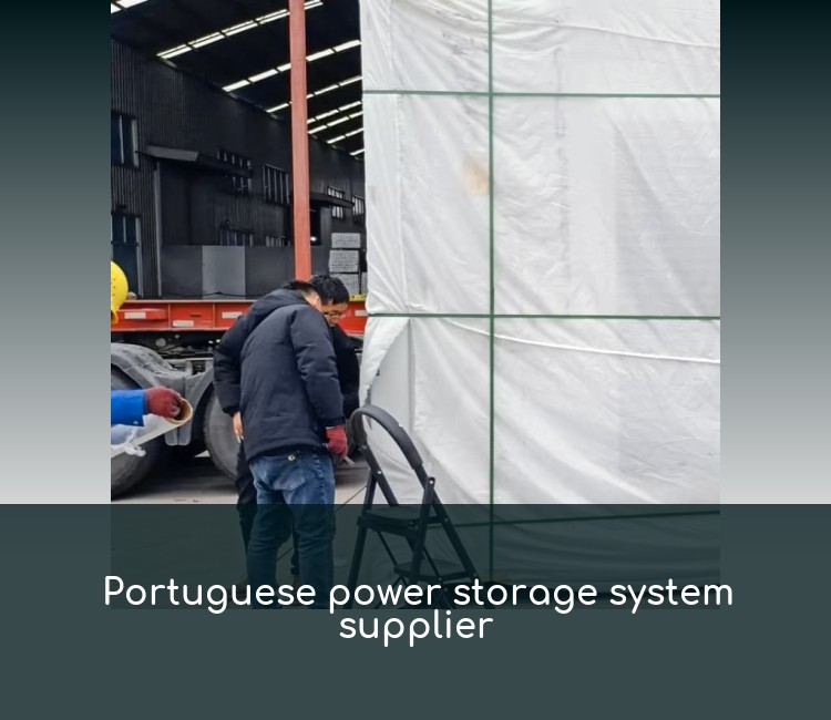 Portuguese power storage system supplier