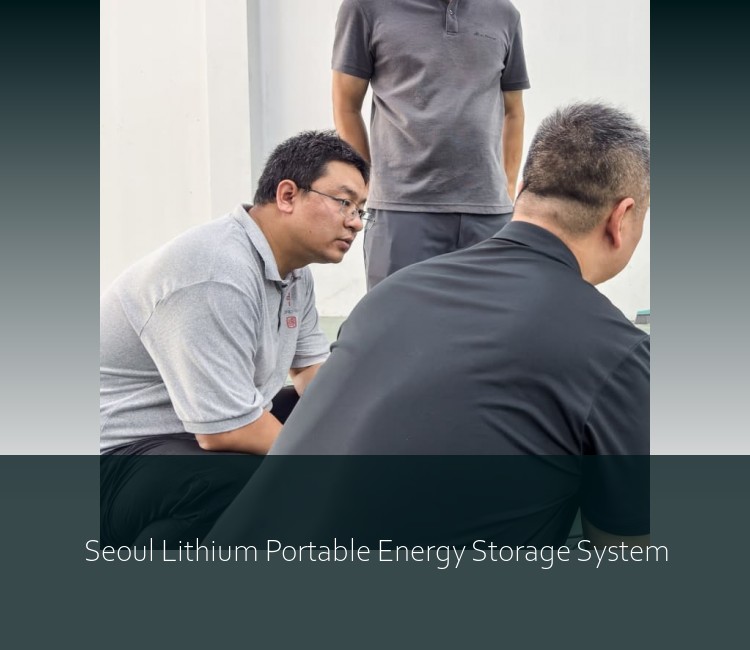 Seoul Lithium Portable Energy Storage System