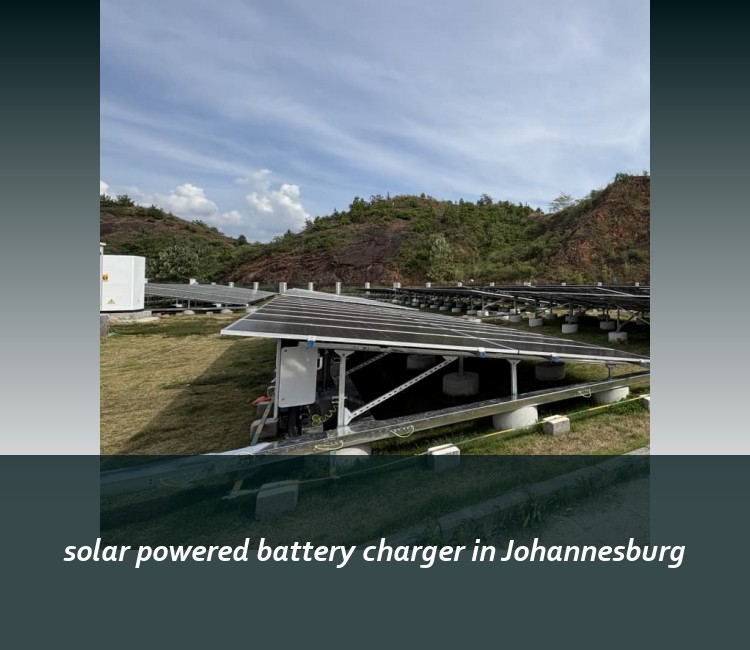 solar powered battery charger in Johannesburg