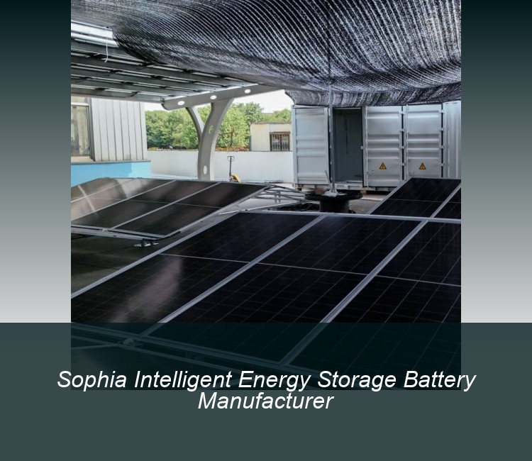 Sophia Intelligent Energy Storage Battery Manufacturer