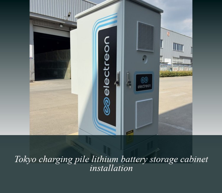 Tokyo charging pile lithium battery storage cabinet installation