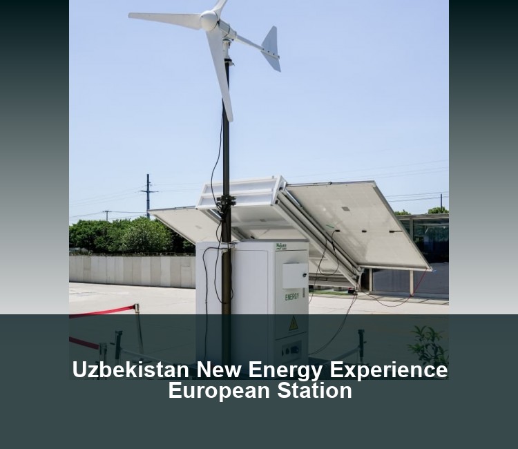 Uzbekistan New Energy Experience European Station