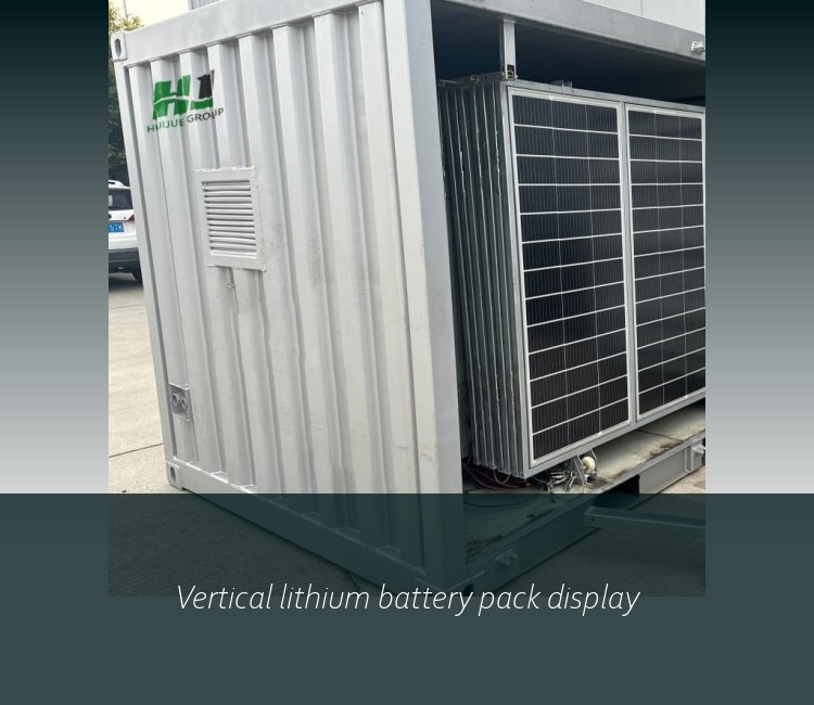 Vertical lithium battery pack display