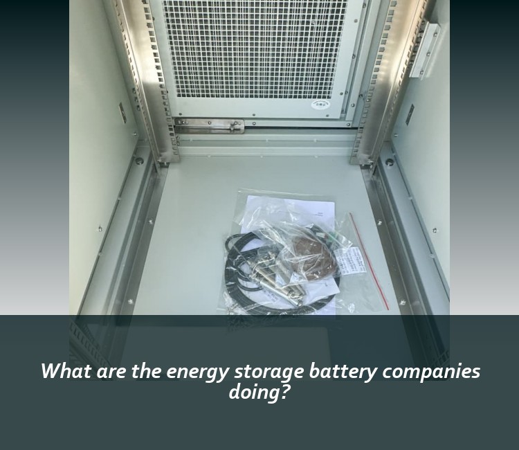 What are the energy storage battery companies doing?