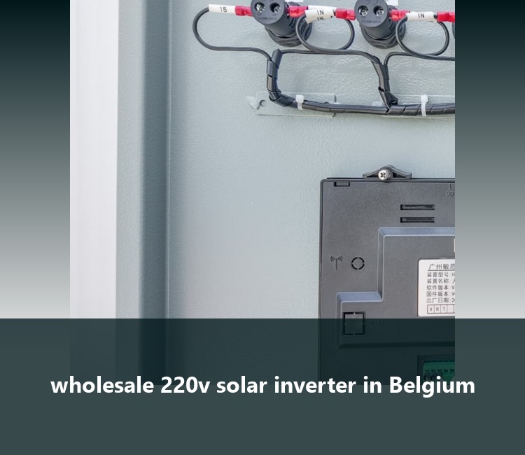 wholesale 220v solar inverter in Belgium