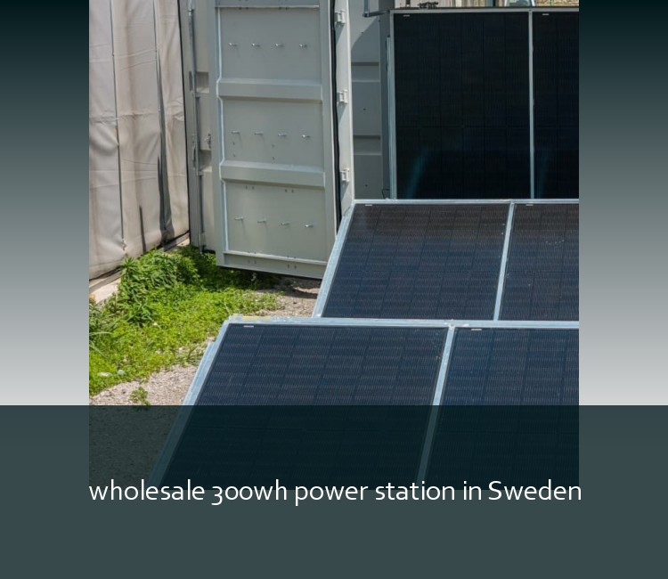 wholesale 300wh power station in Sweden