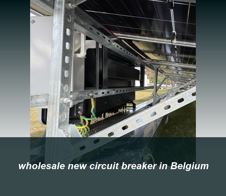 wholesale new circuit breaker in Belgium