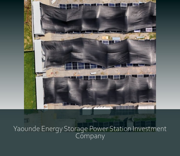 Yaounde Energy Storage Power Station Investment Company