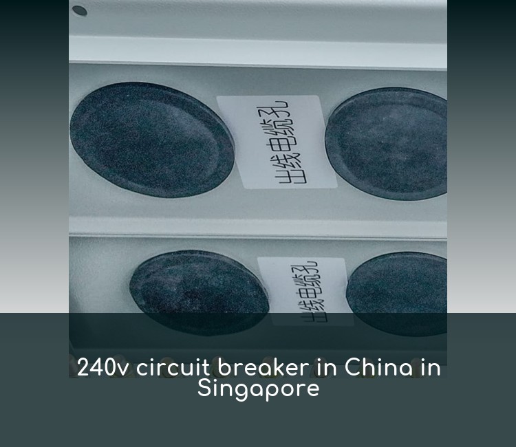 240v circuit breaker in China in Singapore