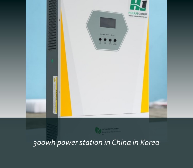 300wh power station in China in Korea