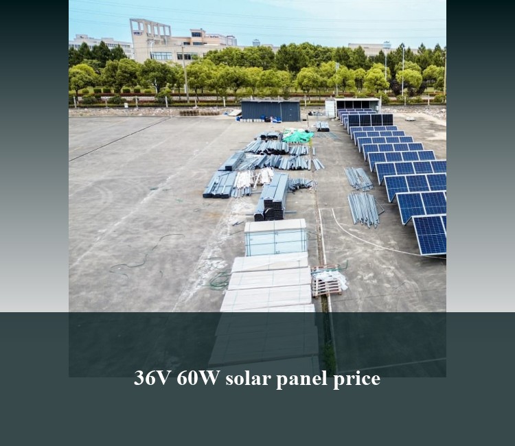 36V 60W solar panel price