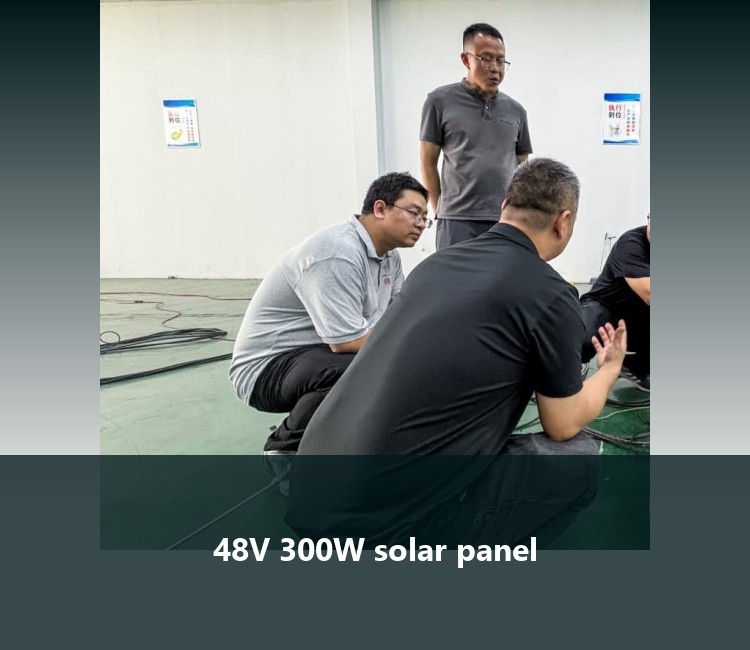 48V 300W solar panel