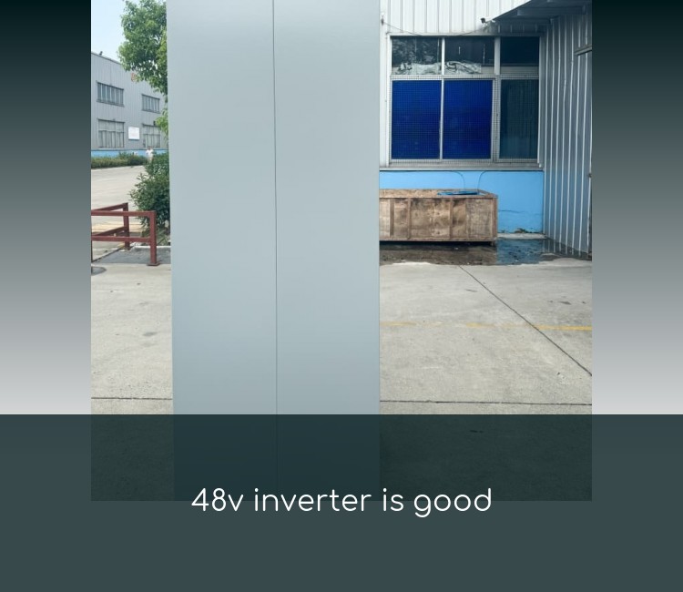 48v inverter is good