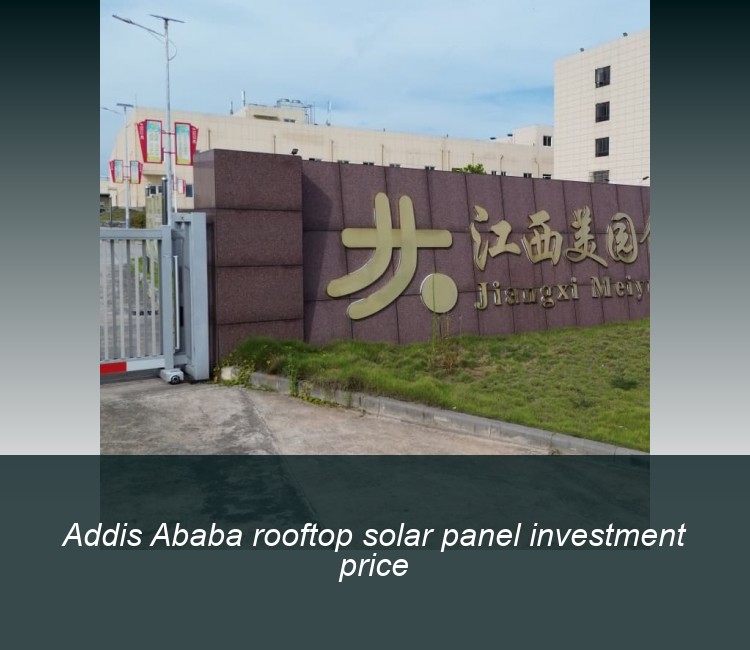 Addis Ababa rooftop solar panel investment price