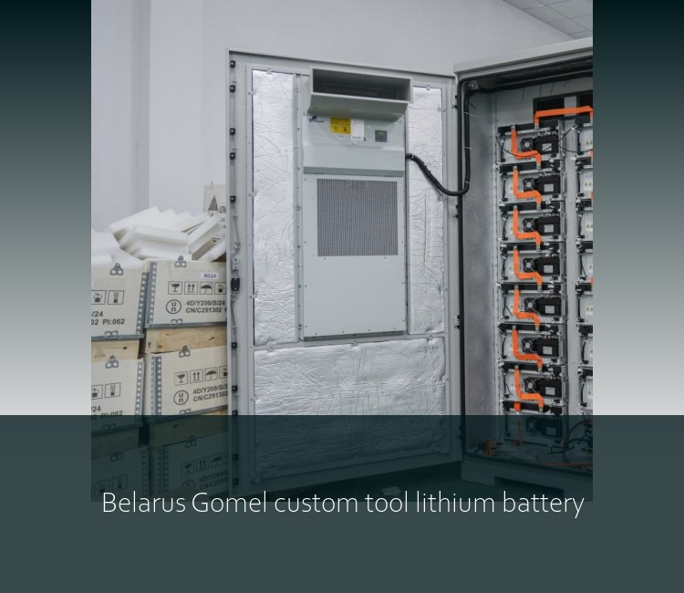 Belarus Gomel custom tool lithium battery