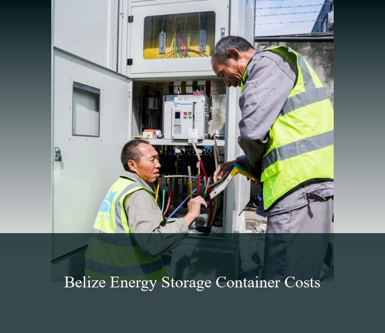 Belize Energy Storage Container Costs