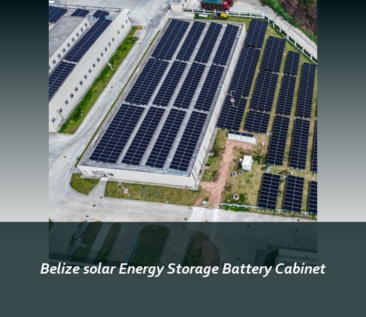 Belize solar Energy Storage Battery Cabinet