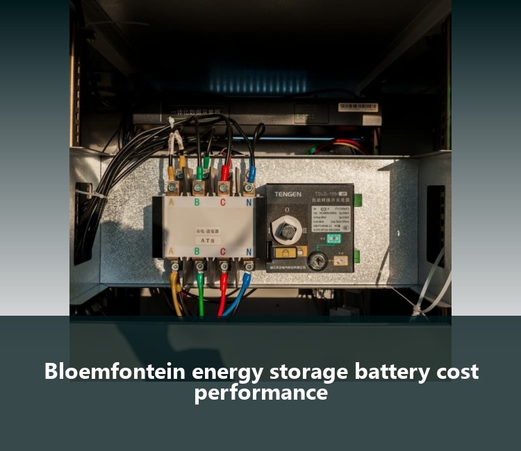 Bloemfontein energy storage battery cost performance