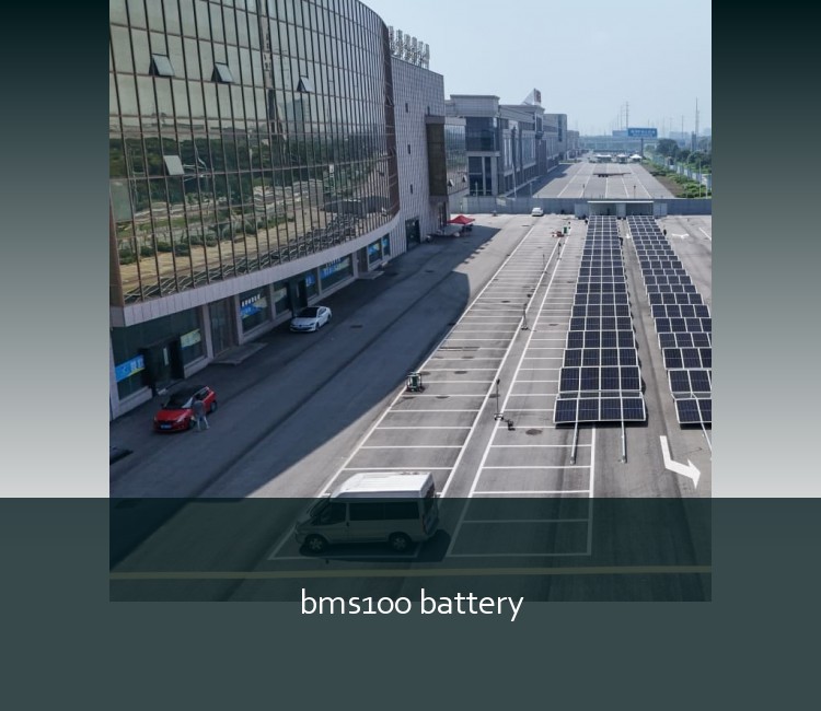 bms100 battery