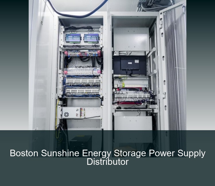 Boston Sunshine Energy Storage Power Supply Distributor