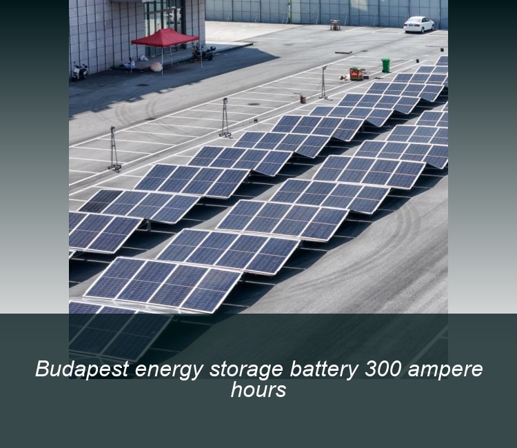 Budapest energy storage battery 300 ampere hours