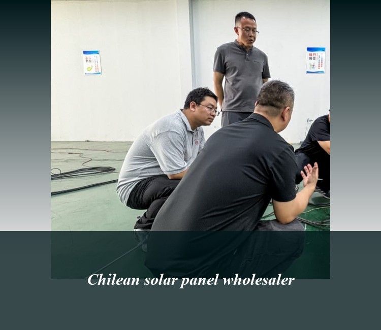 Chilean solar panel wholesaler