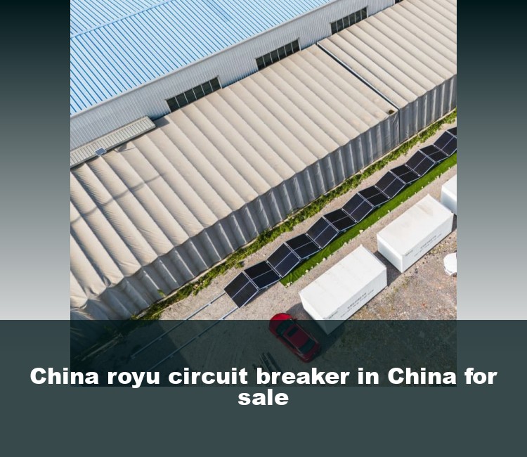 China royu circuit breaker in China for sale