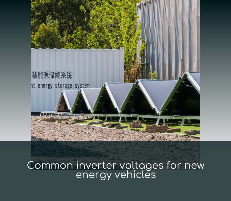 Common inverter voltages for new energy vehicles