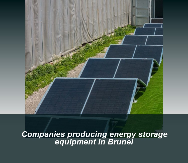 Companies producing energy storage equipment in Brunei